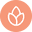 www.bonfire.com