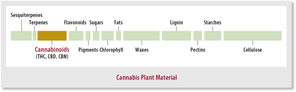 cannibis_plant_material.gif