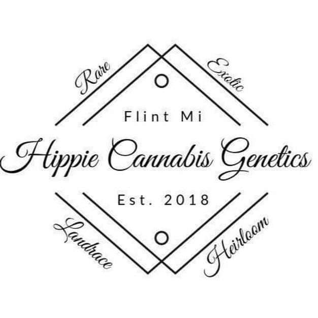 hippiecannabisgene0.wixsite.com