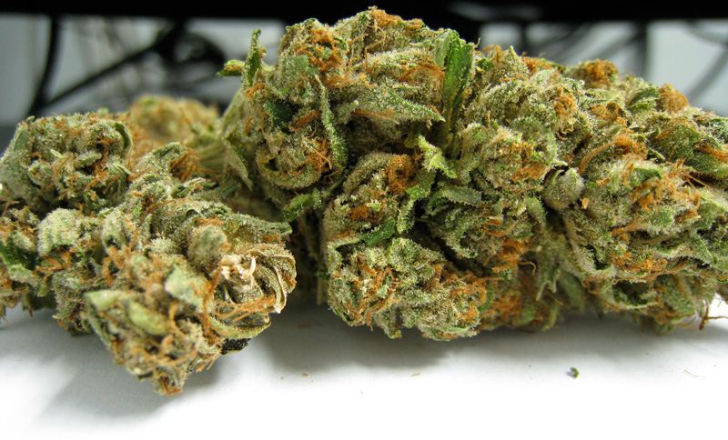ghost_og.jpg