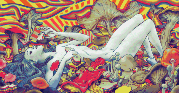 lsd-mushroom-experience.gif