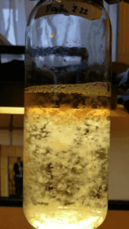 20200307-130658.gif