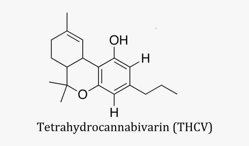 422-4224644_thcv-molecule-thc-structure.png