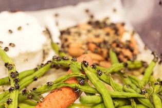 06CHEMCROP3-master315.jpg