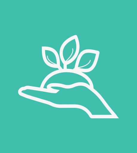 www.lumigrow.com