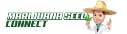 Cropped Logo 1 Png