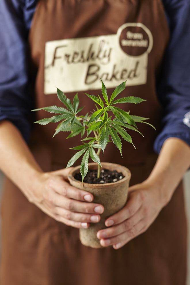 marijuana2_blog06.jpg