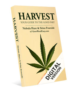 www.growweedeasy.com