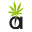 www.aceseeds.org