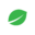 kindseed.com