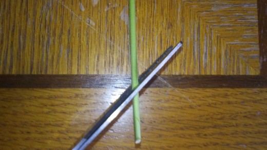 5853197_f520.jpg
