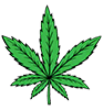herbgrow.org