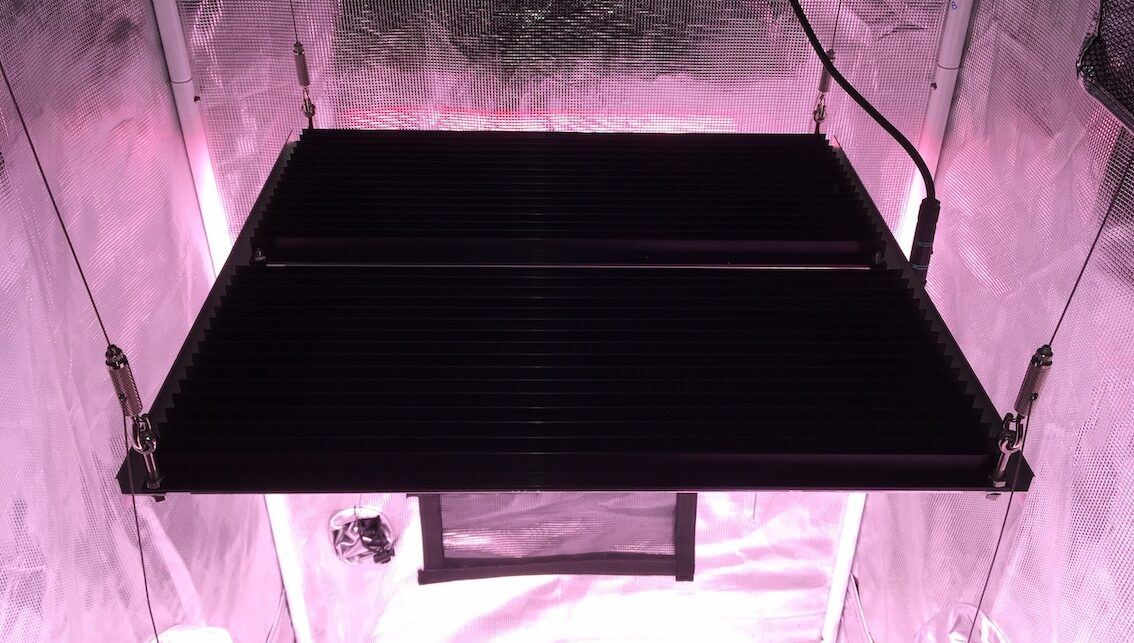 growlightsaustralia.com