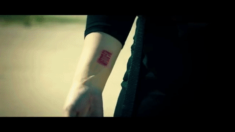 giphy.gif