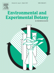 www.sciencedirect.com