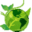 www.dormgrow.com