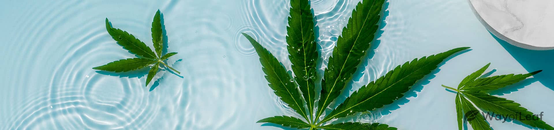 wayofleaf.com