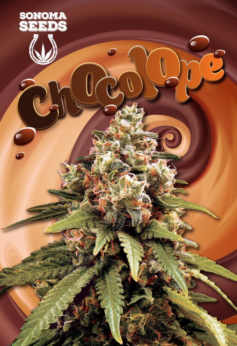 www.sonomaseeds.com