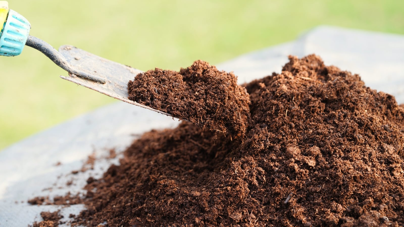 www.epicgardening.com