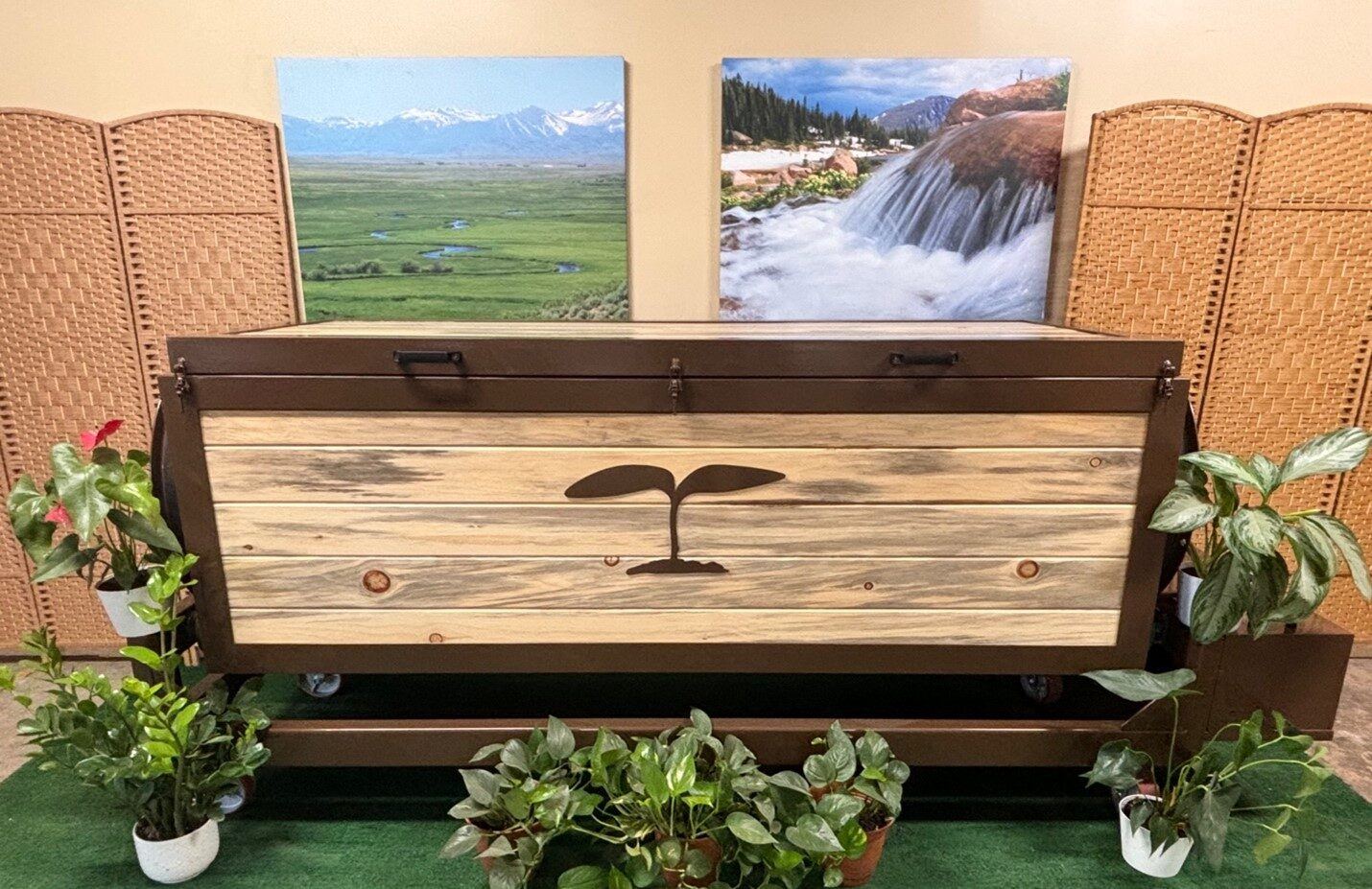www.thenaturalfuneral.com