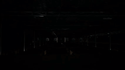 giphy.gif