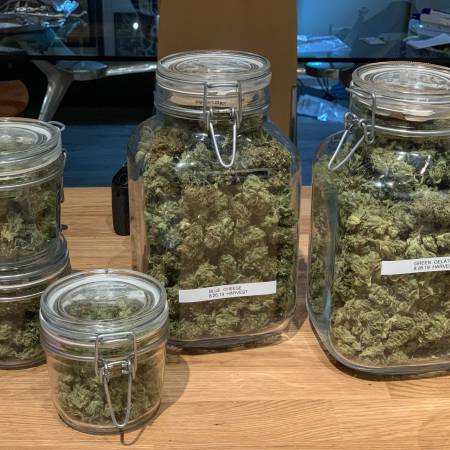growdiaries.com
