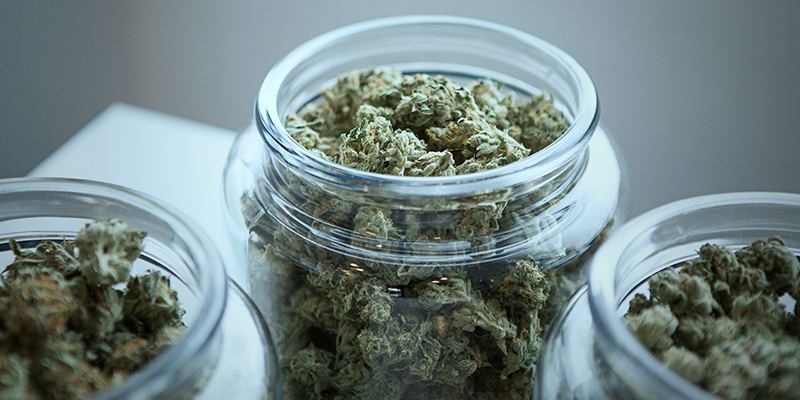 highalert.org.nz