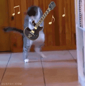 funny-gifs-cat-plays-guitar.gif