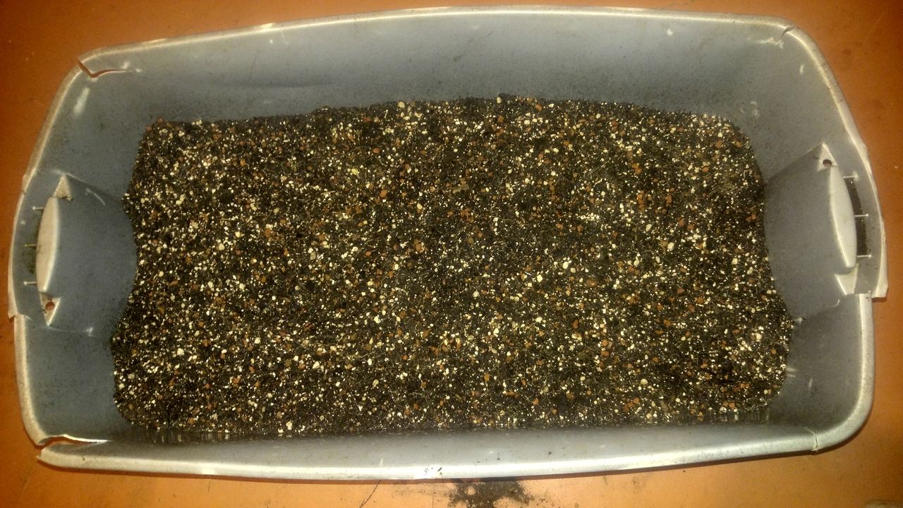 20170131_212206.jpg