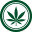 www.cannabisbusinesstimes.com