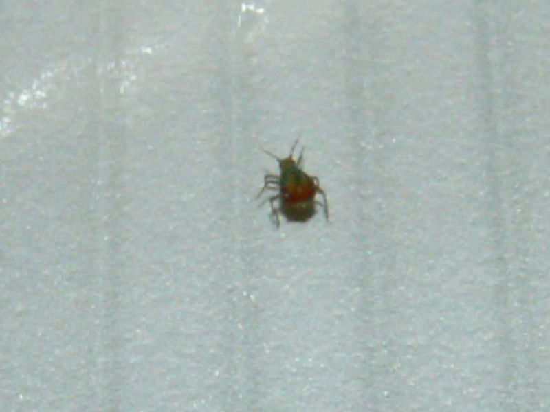 11570PICT0369.JPG
