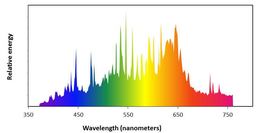 daylight315w.jpg
