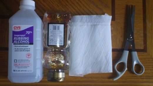 5853182_f520.jpg