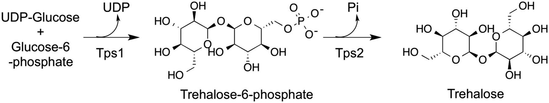 www.pnas.org