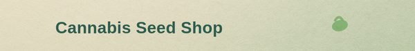 cannoptikum.com
