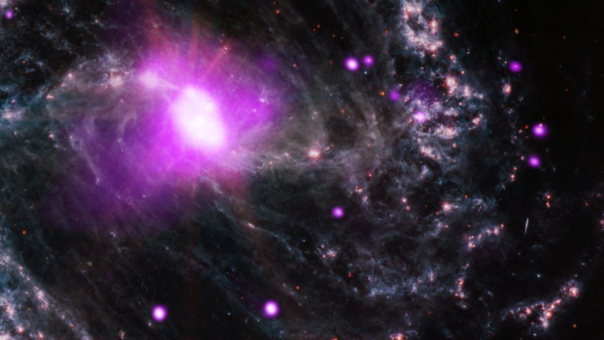 www.space.com