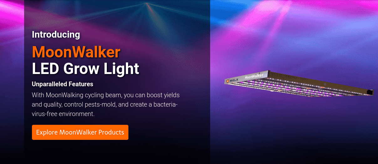 boulderlamp.com