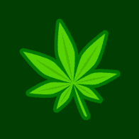 www.allbud.com