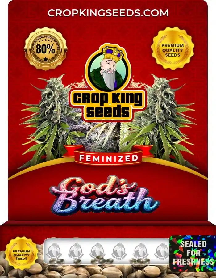www.cropkingseeds.com