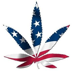 cannamerflag.jpg