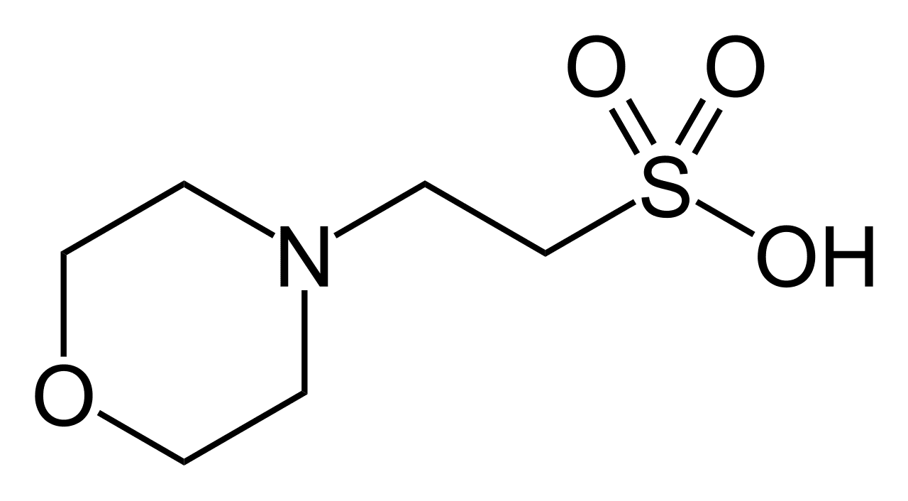 en.wikipedia.org