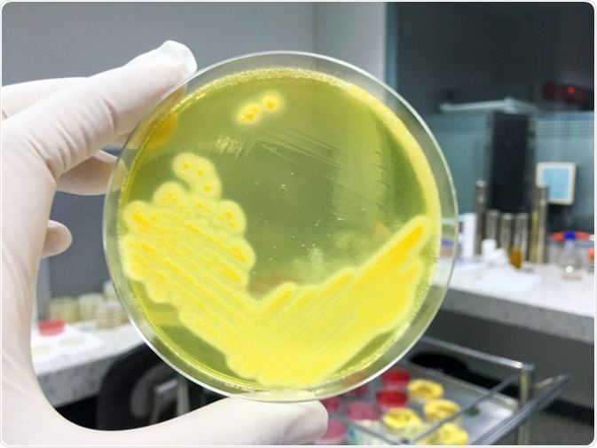 www.azolifesciences.com