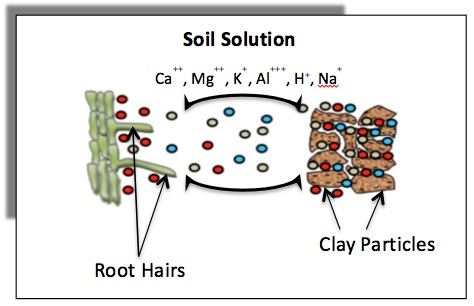 Figure1.JPG