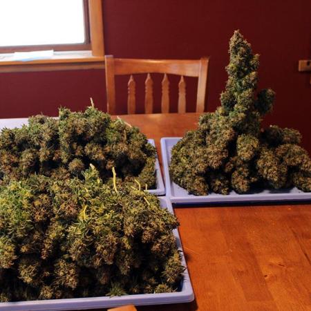 growdiaries.com