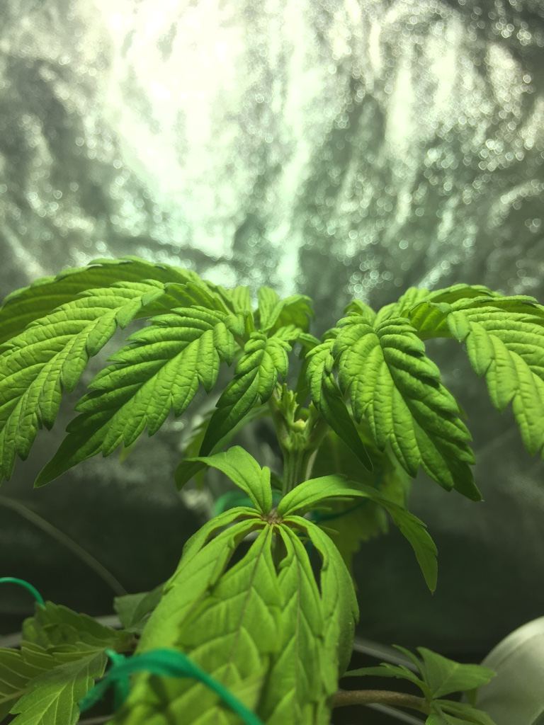 420-magazine-mobile105196665.jpg