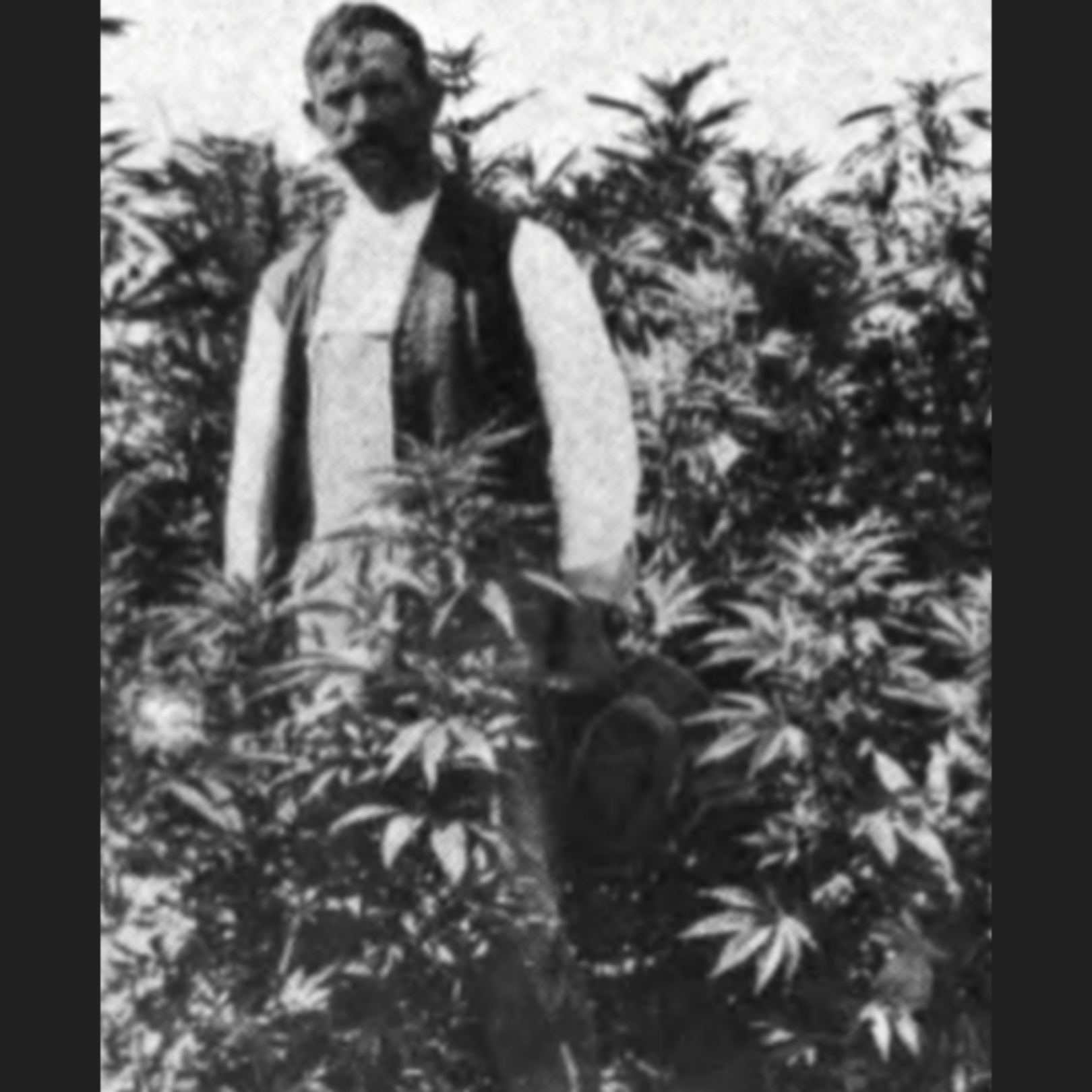 therealseedcompany.com