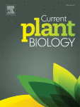 www.sciencedirect.com