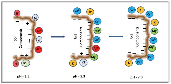 Figure2.JPG
