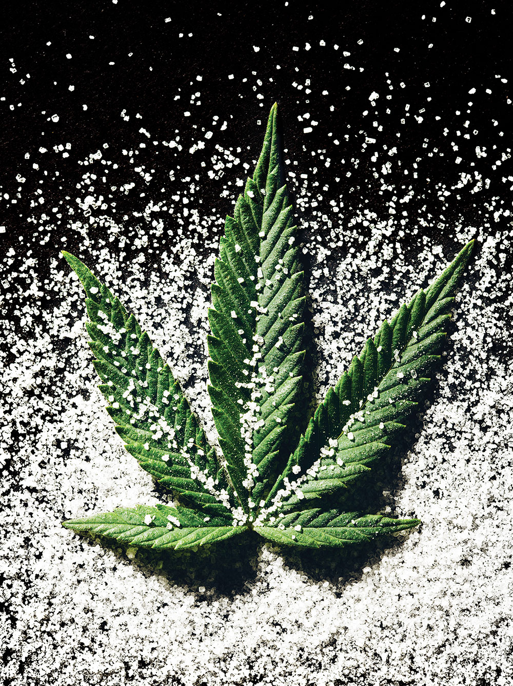 kitchentoke.com