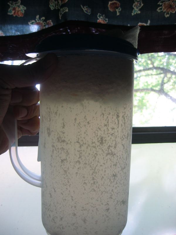40380pitcher.jpg
